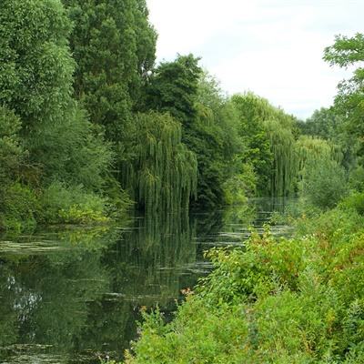 虎扑体育正式版